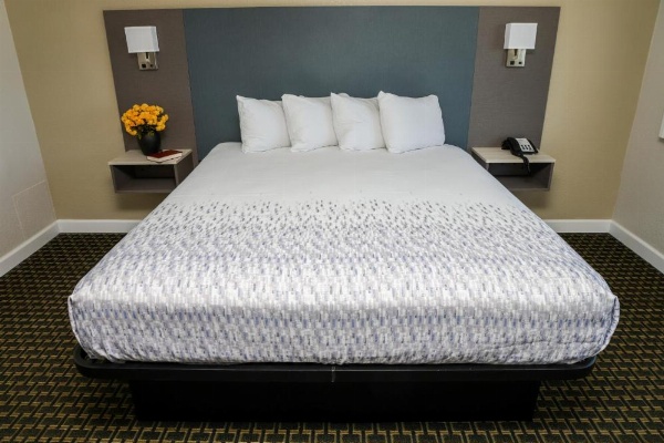 Sea Breeze Inn - San Simeon image 65