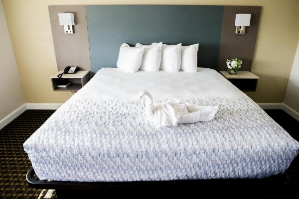 Sea Breeze Inn - San Simeon image 66